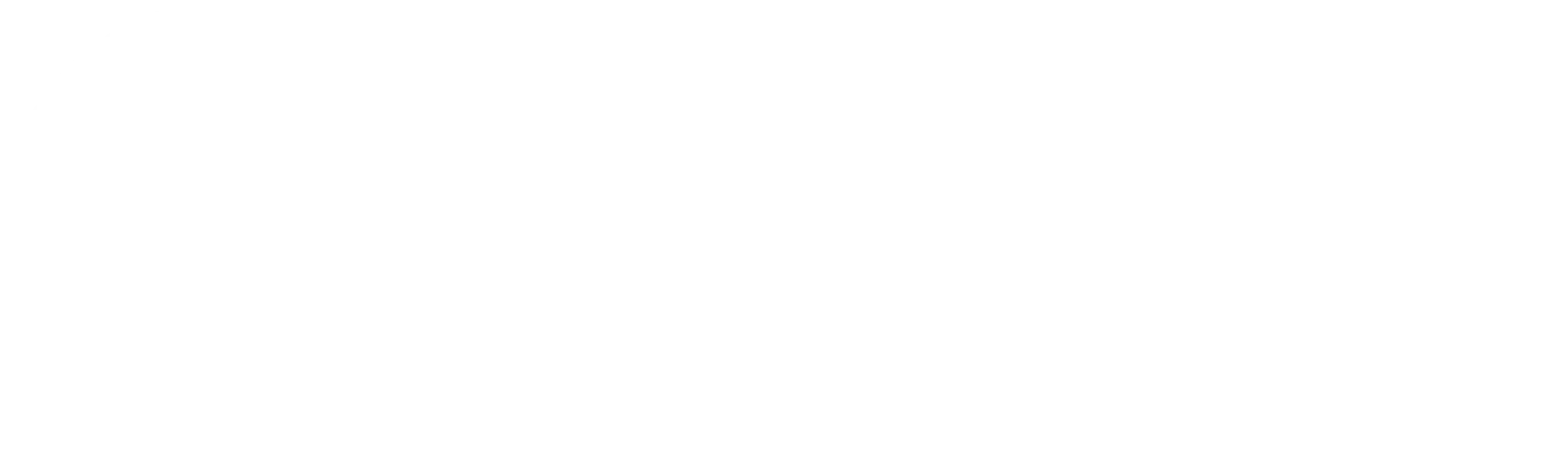BF-Logo-weiss-2048x602